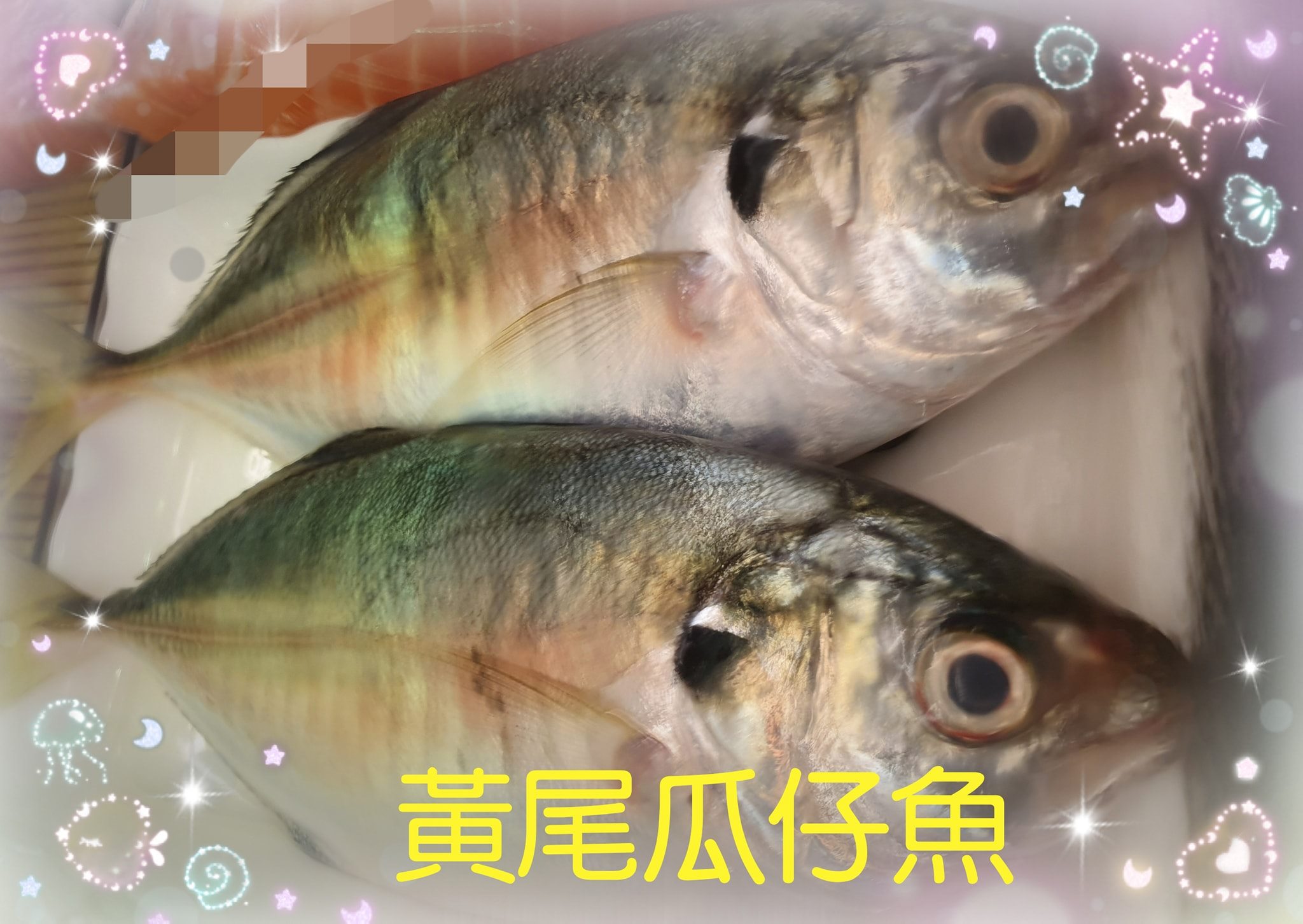 尹賀日本料理 今日有黃尾瓜仔魚可以做生魚片或是煮湯兩種做法 Facebook