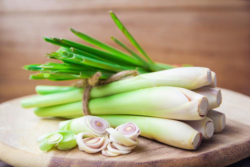 View of TeaCha - Benefits of Lemongrass Lemongrass, as well as fever grass, is ...