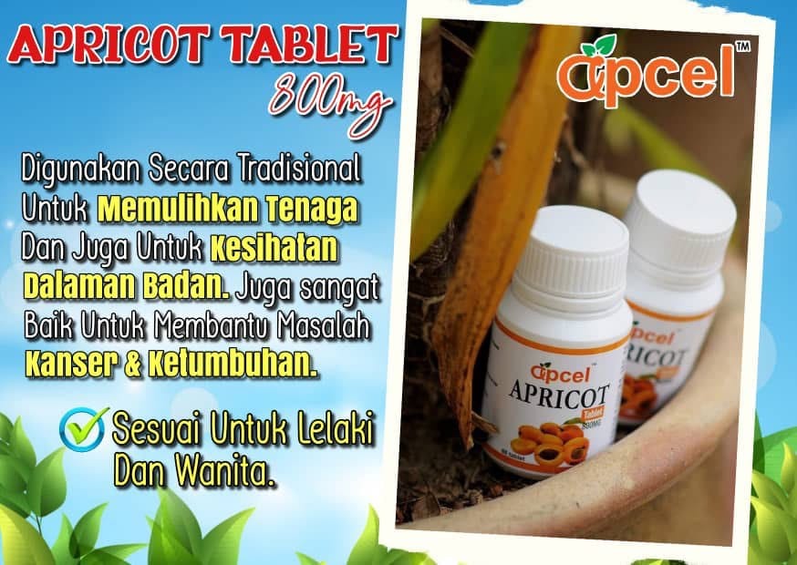 APCEL CAFE Original