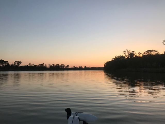 ABC Riverland - 😊 This looks like a pretty relaxing scene to us 🎣 🧘 ...