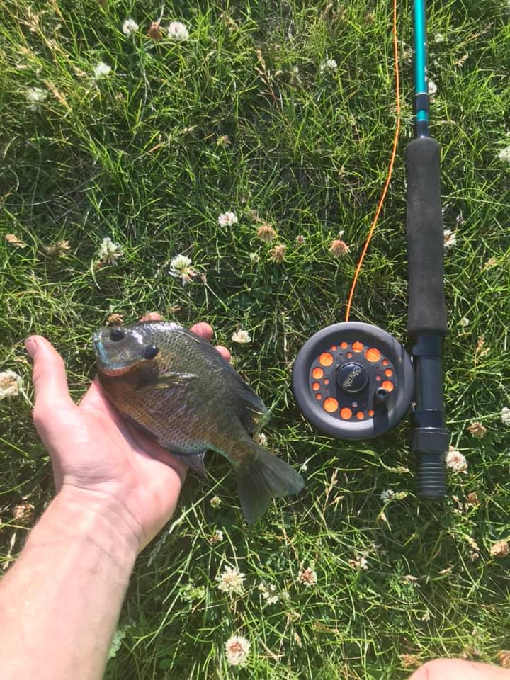 shimano blackout rod Dark Matter Custom Standup Rods its winding angle and New Saltwater Jigging Reel rotor__N/A Color:Patriot - Red/White/Blue