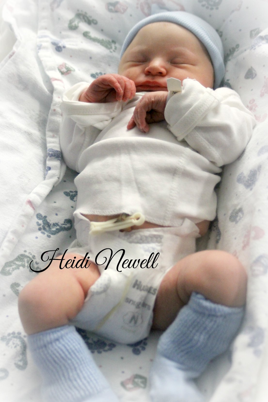 Heidi... - Heidi Newell Photography Owner and Photographer