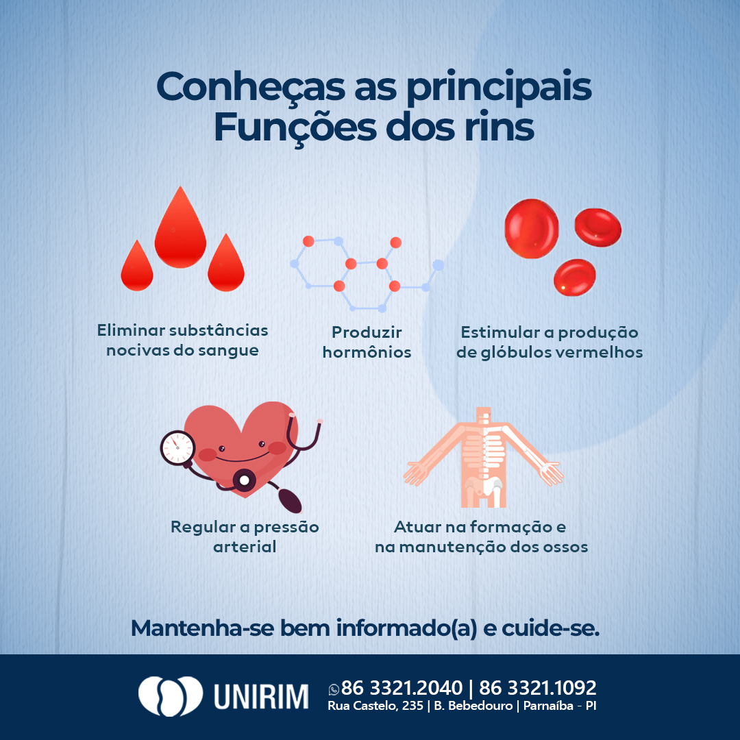 Unirim Parnaiba - Os rins são órgãos nobres que realizam funções ...