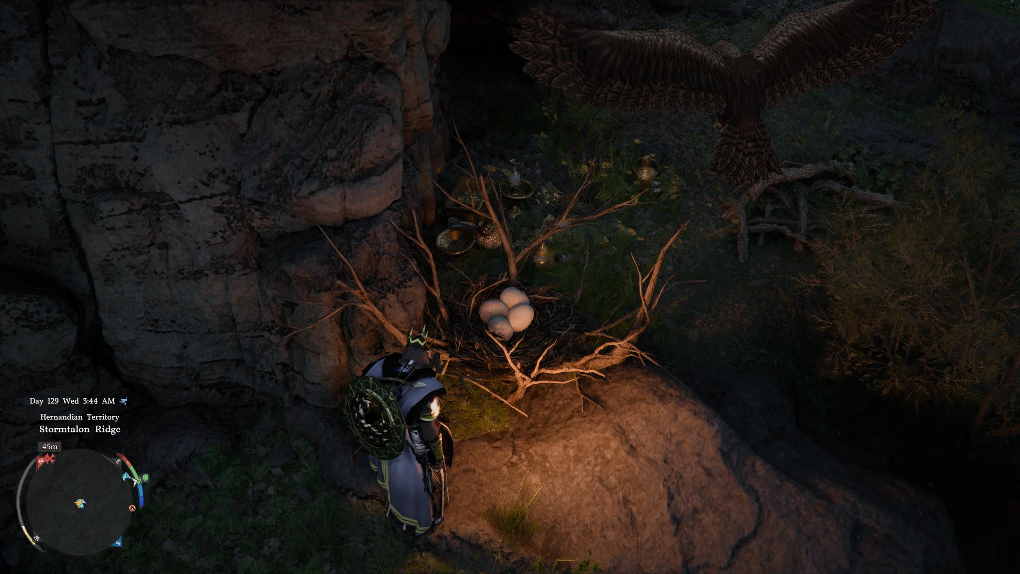 Anyone know why this nest is marked on the map. I can't interact
