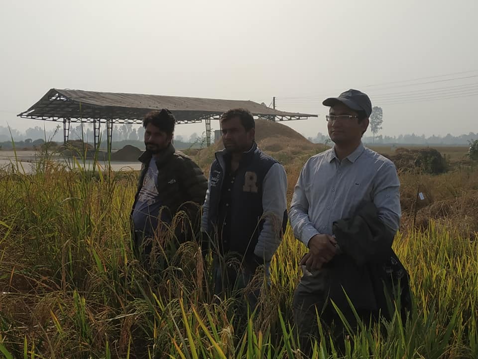 National Rice Research Program- NRRP | Janakpur