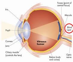 Optic Point