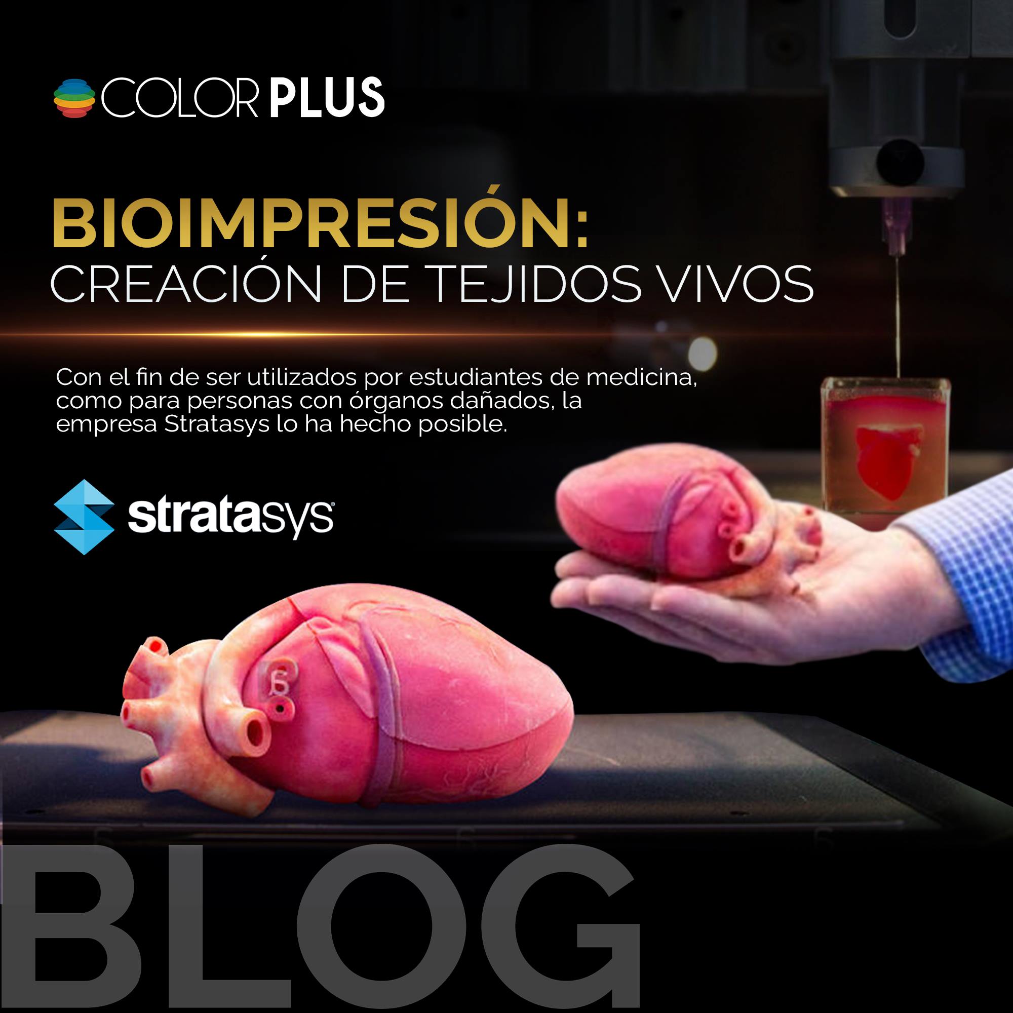 Color Plus - 🔹 Bioimpresión 3D Descubre en este articulo... | Facebook