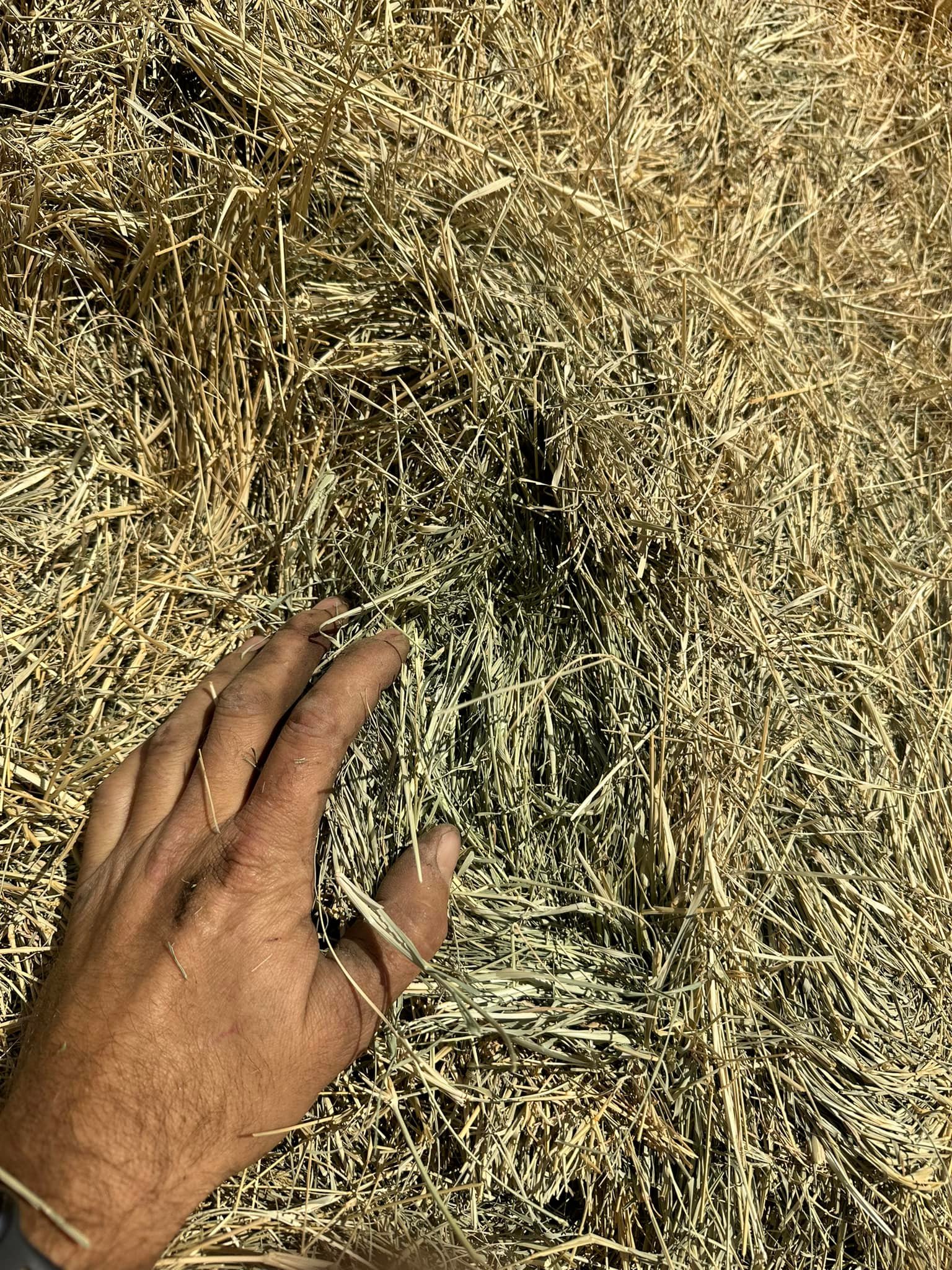 Western Hay Sales & Delivery Home
