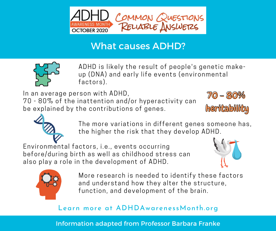 What Is Environmental Adhd
