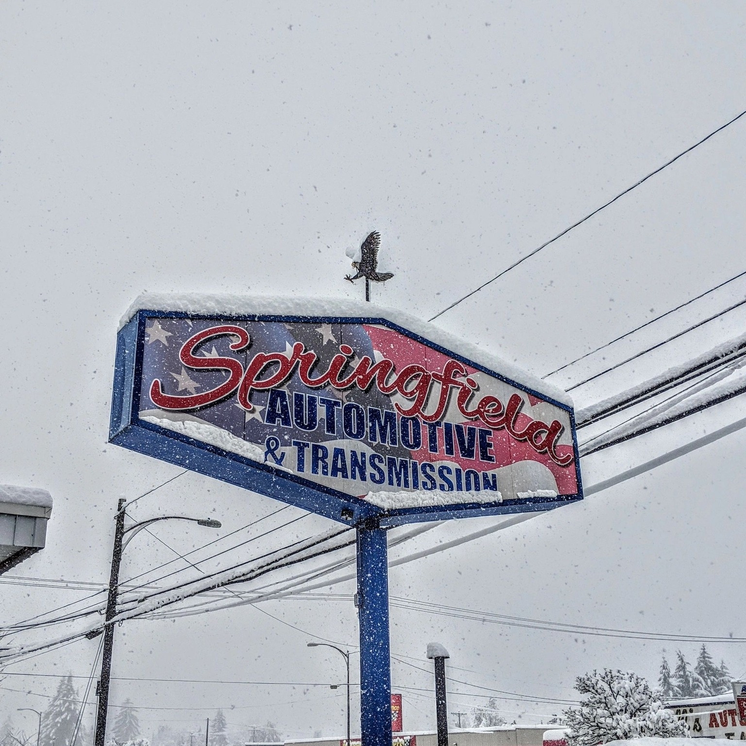 Springfield Automotive Service Inc. | Springfield OR