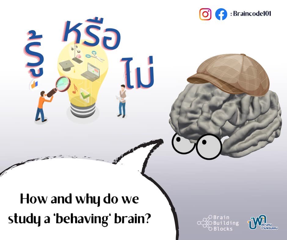 BrainCode101 - 💡รู้..หรือ..ไม่💡 -... | Facebook