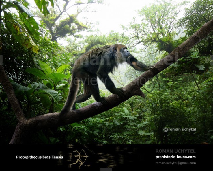 WORLD OF PREHISTORIC CREATURES | Protopithecus brasiliensis, a genus of ...