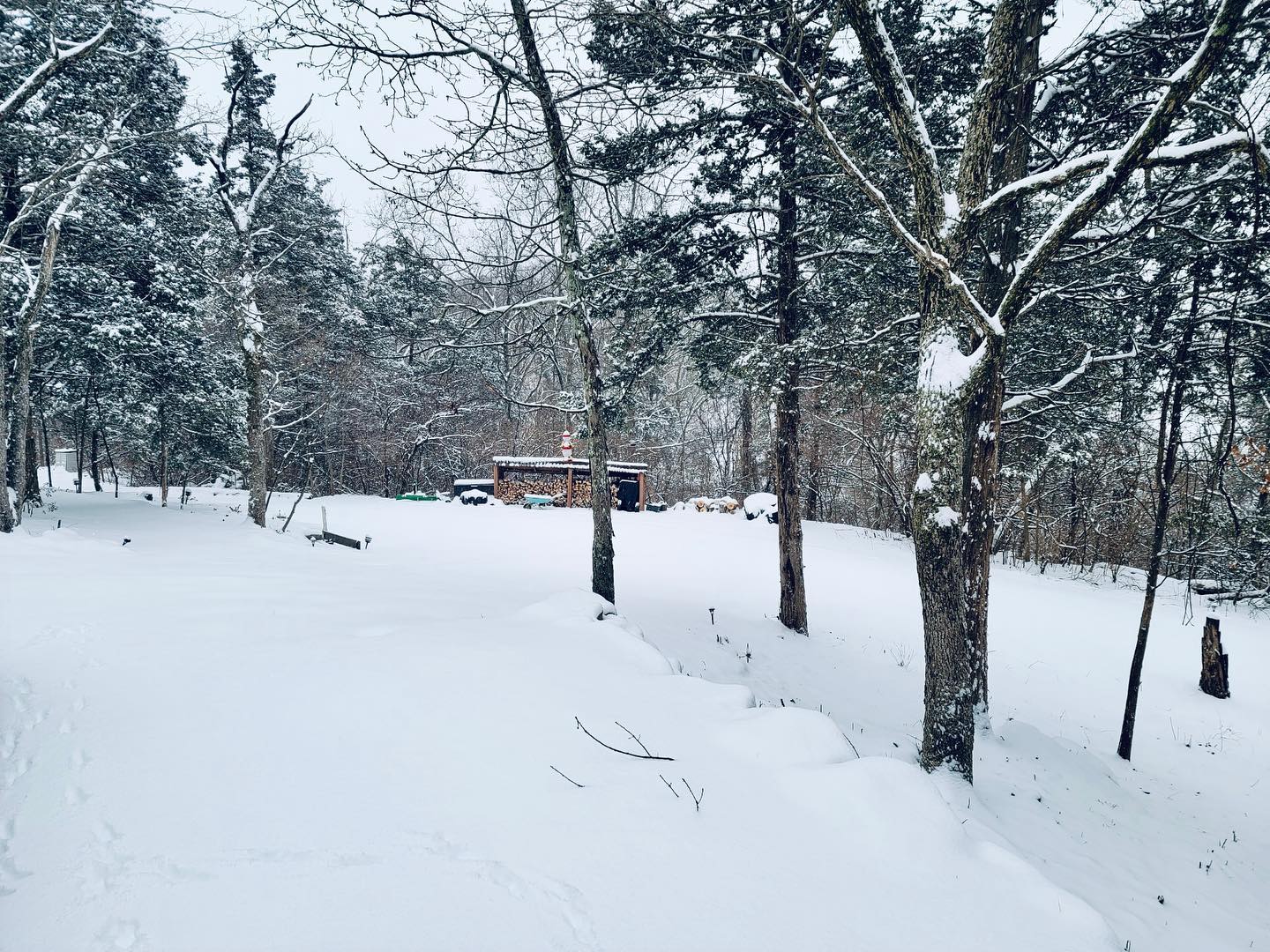 Hillside Cabins on Deer Mountain - hosted by Cristina and Tim Dulin ...