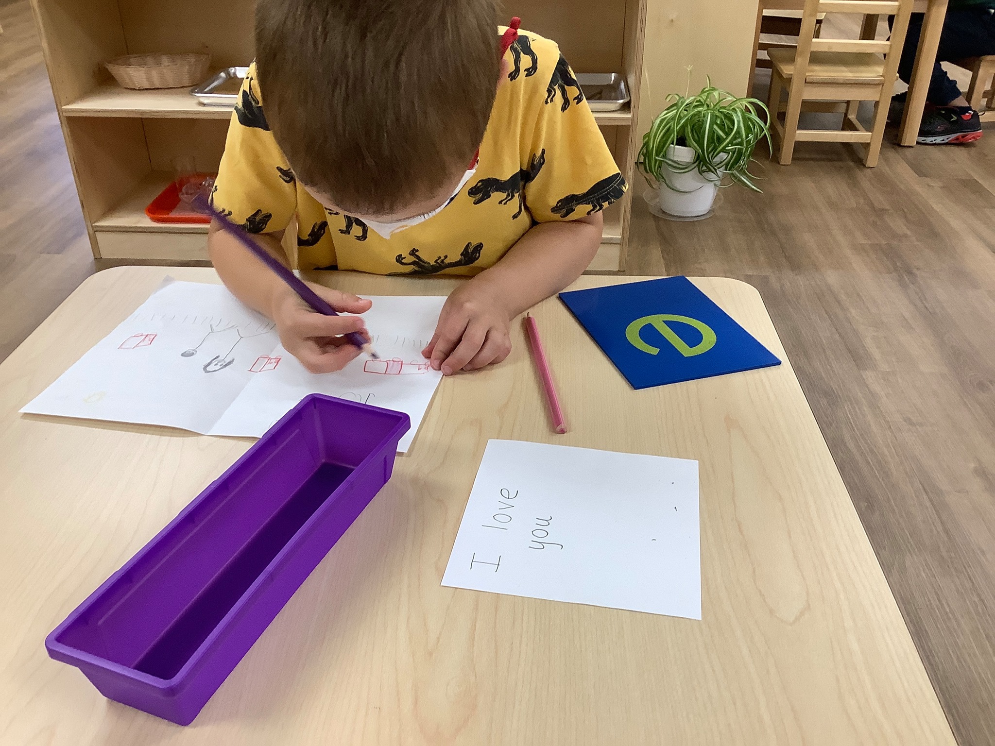 Guidepost... - Guidepost Montessori at South Riding