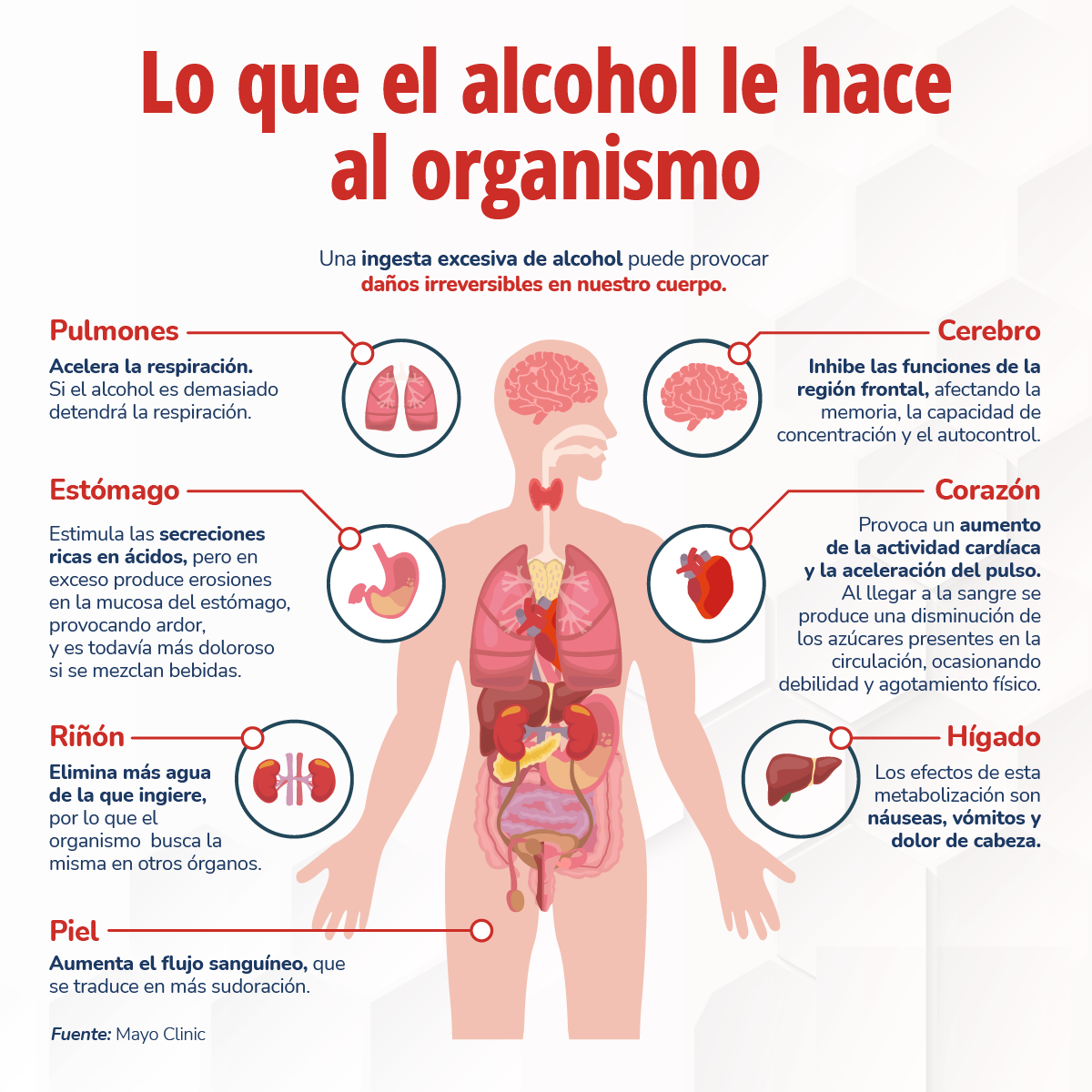 Colegio - El consumo de alcohol en exceso puede tener consecuencias ...