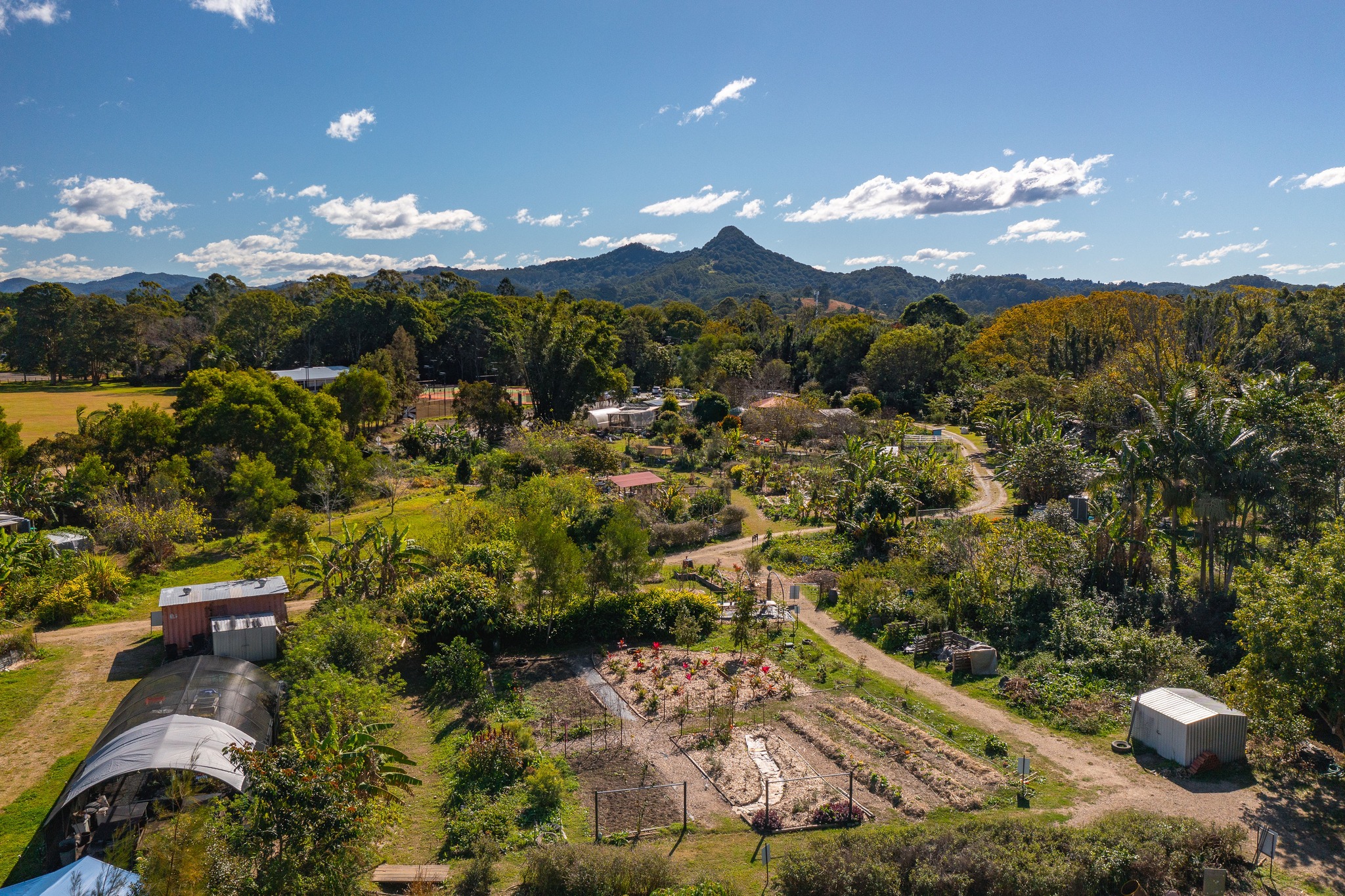 Seed Northern Rivers | Mullumbimby NSW