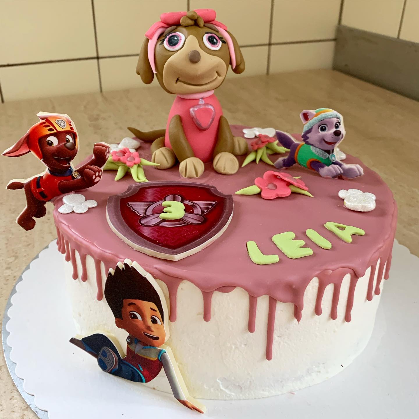 Fabelhafte Paw Patrol Torte Coppenrath Und Wiese Bilder