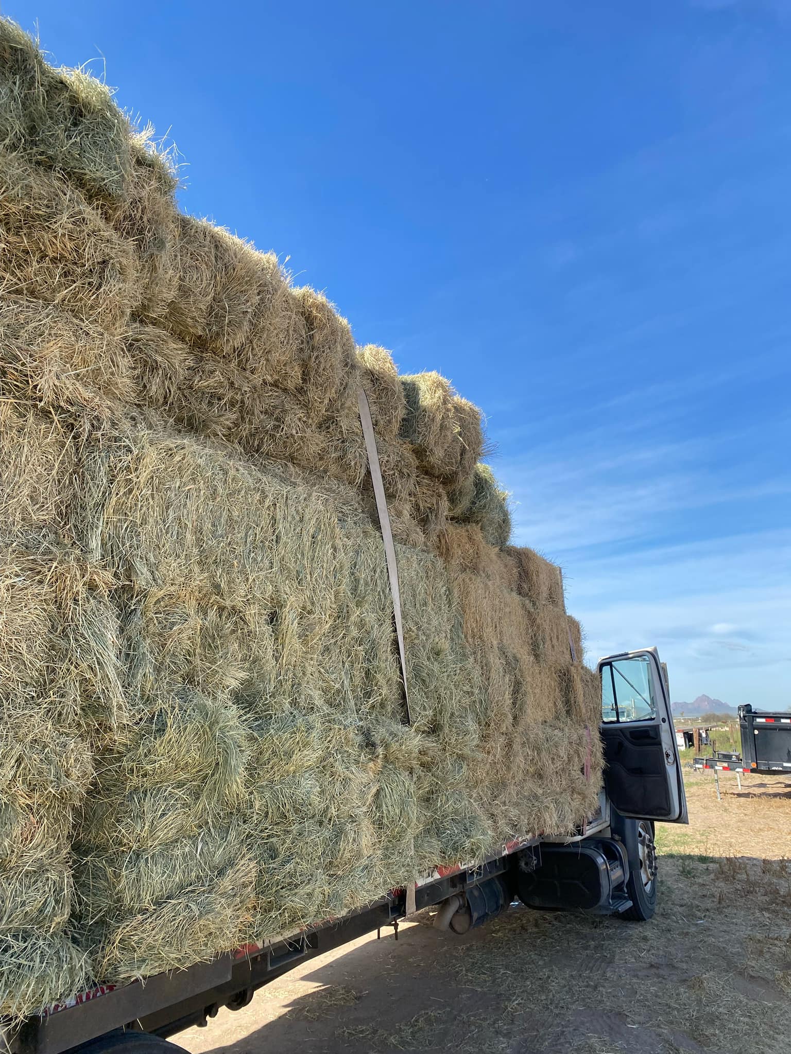 Western Hay Sales & Delivery Home