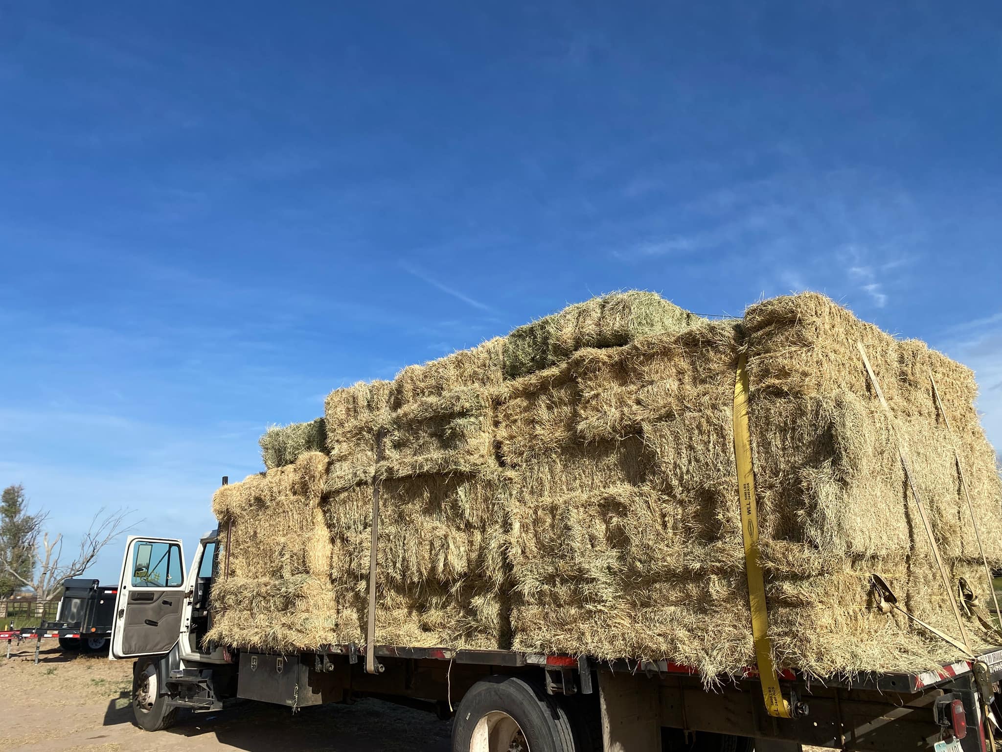 Western Hay Sales & Delivery Home