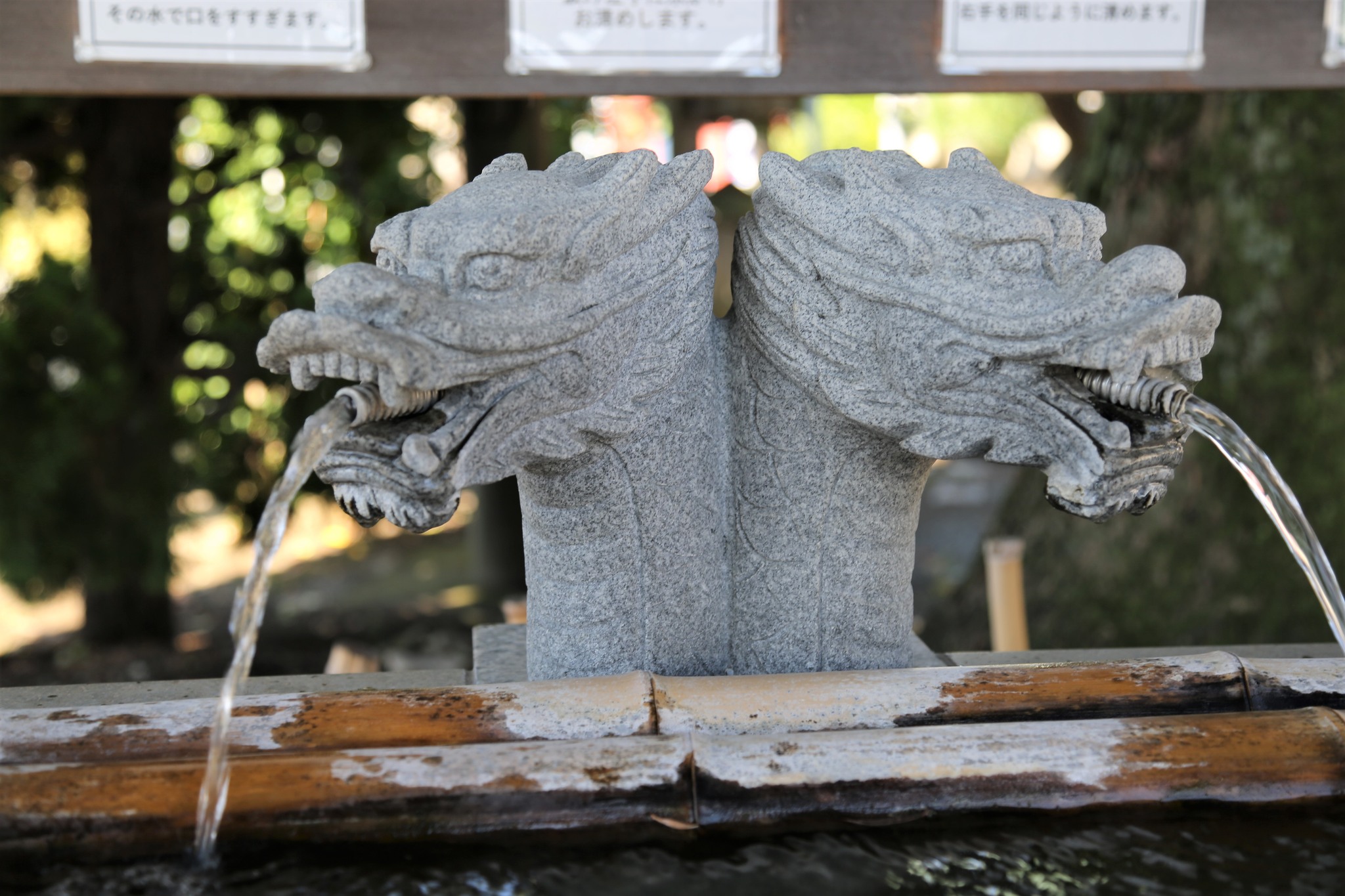 Wakamiya Hachimangu 若宮八幡宮