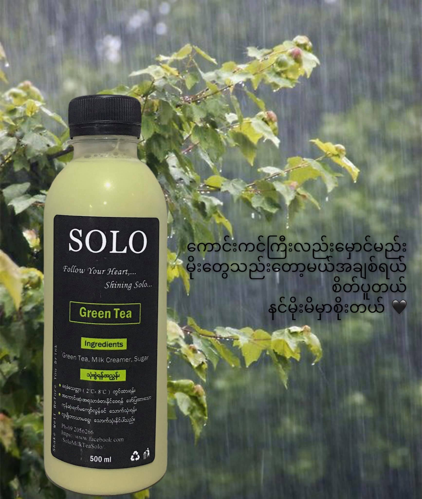 Solo Milk Tea