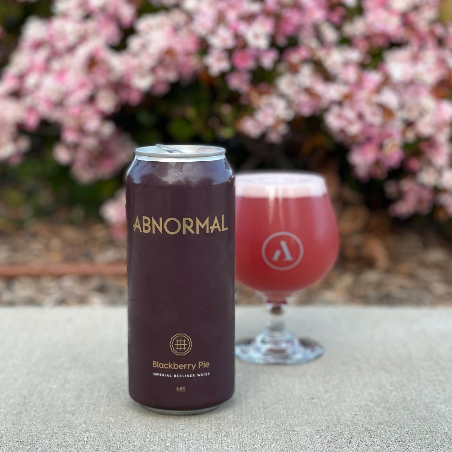 Average Beer Dude - Craft Beer Exploration - 🌫🪟 FOGGY WINDOW 🪟🌫 by the ...