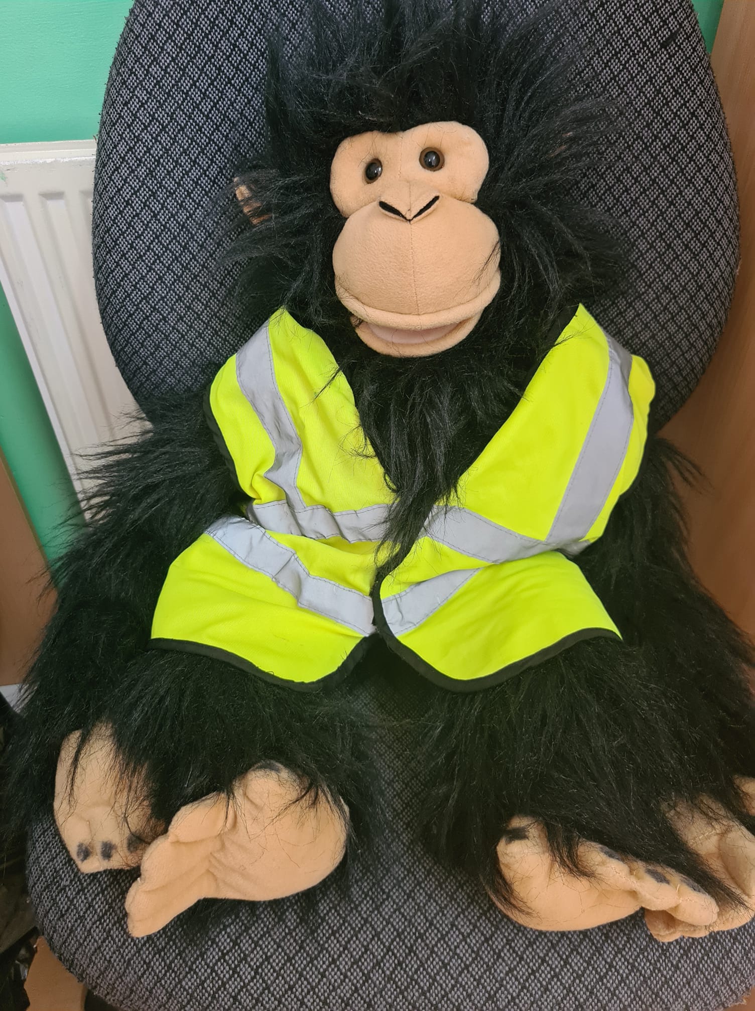 Seesaws Penn - Meet our new addition, Steven the monkey... | Facebook