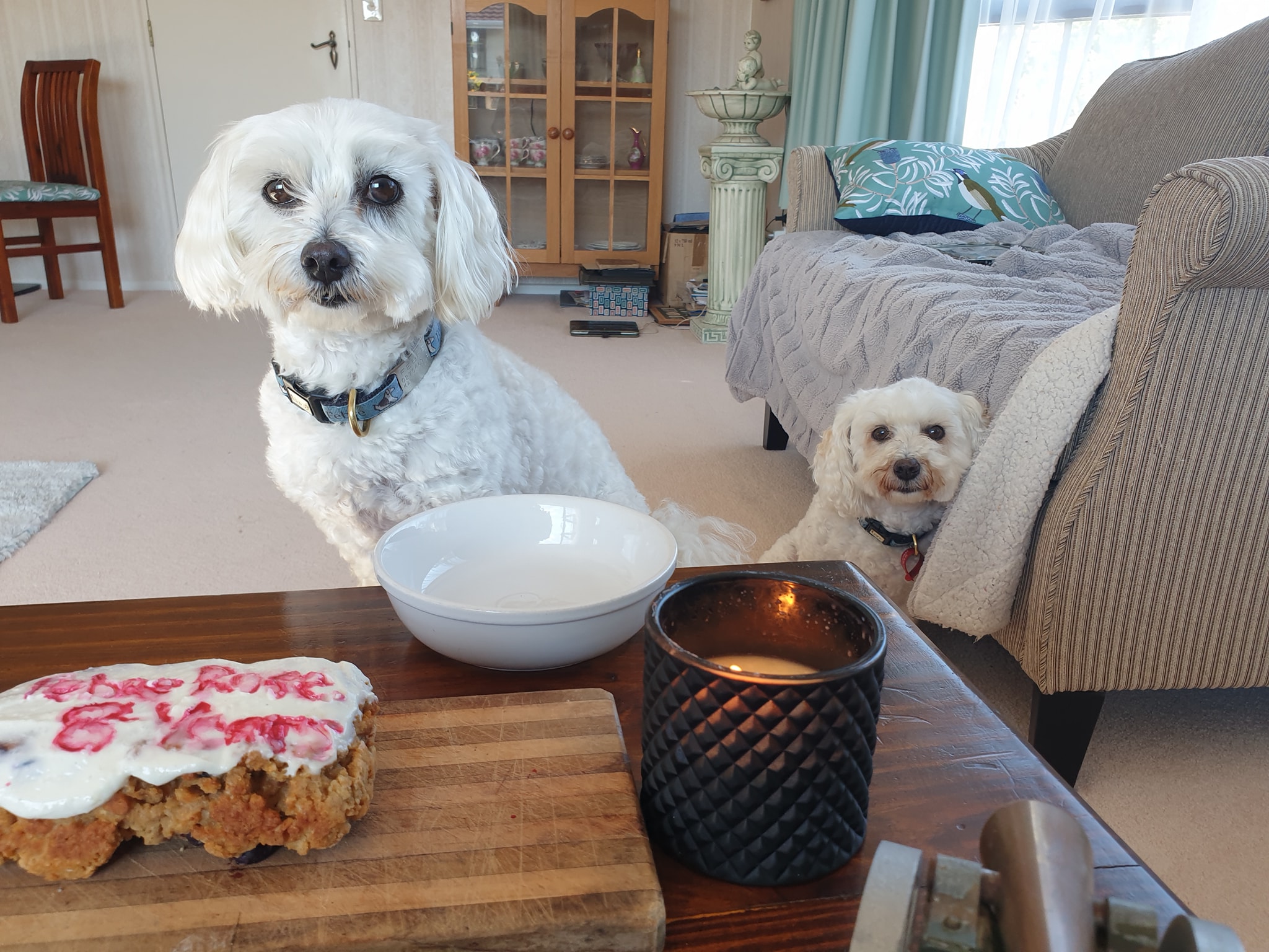 Happy Birthday Febee Rose. 8yrs... - Freddie and Febee | Facebook