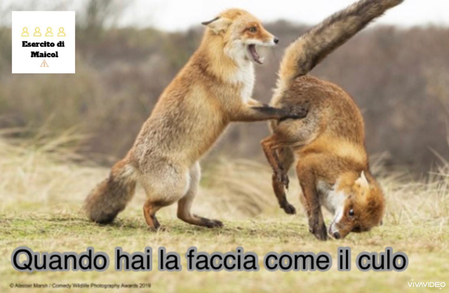 Esercito - Un semplice bacio ti trasformerà in principe🤴🏼 . . . # ...