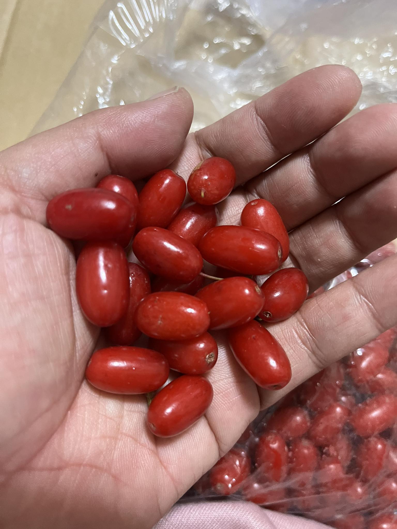 どなたか買ってください どなたか教えてください。 サンシュユ を購入 