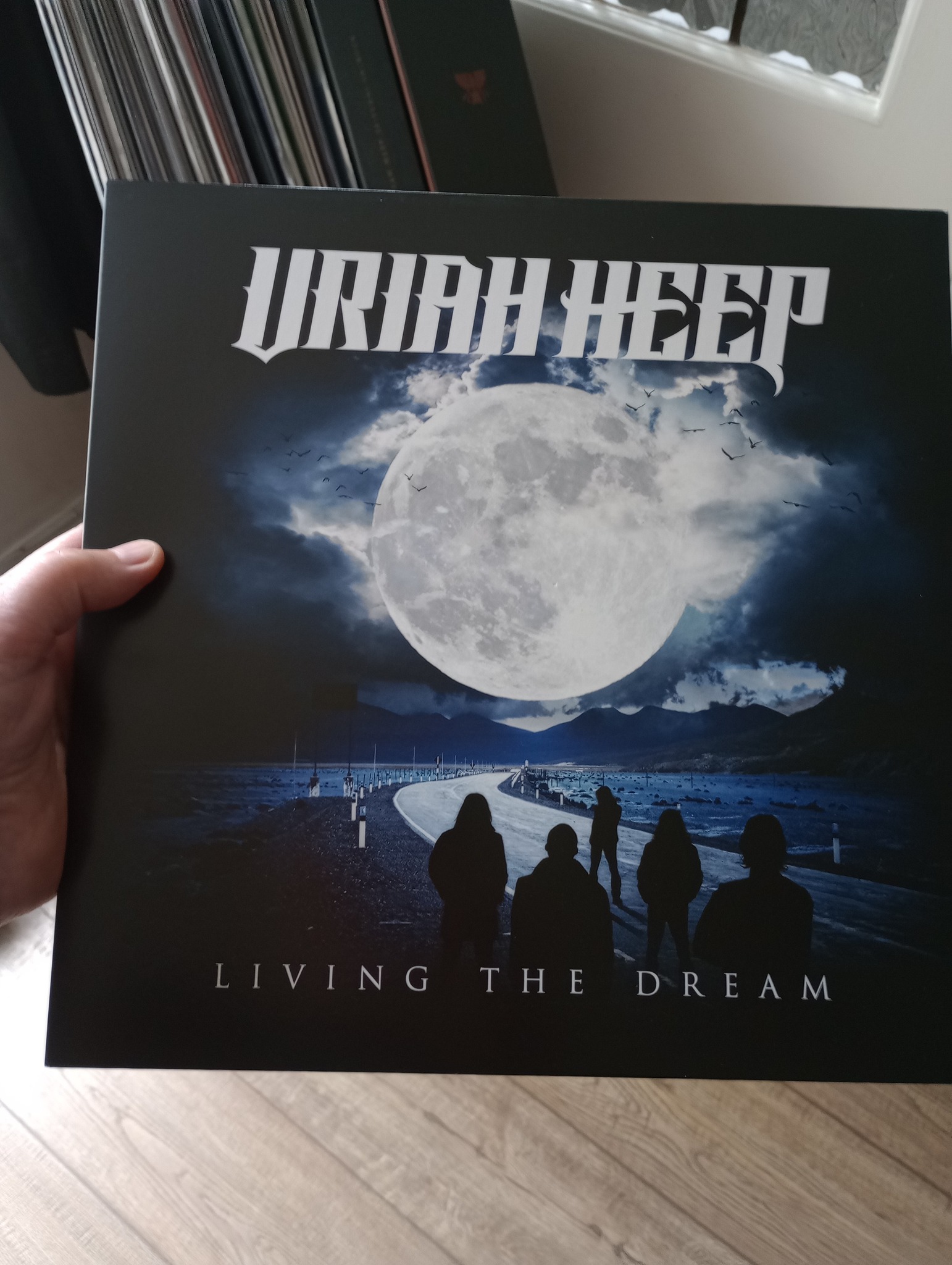 This is an awesome album ... If wishes were horses then dreamers 