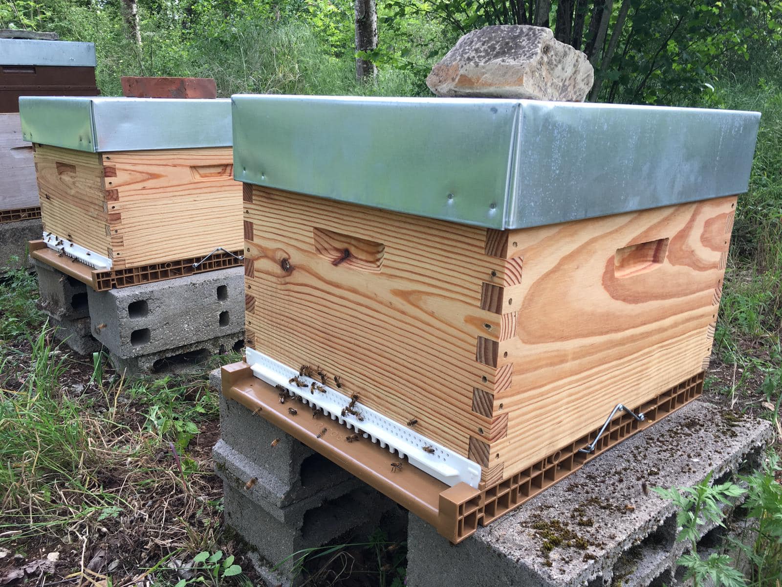 Abee - Apiculture | Mailly-la-Ville