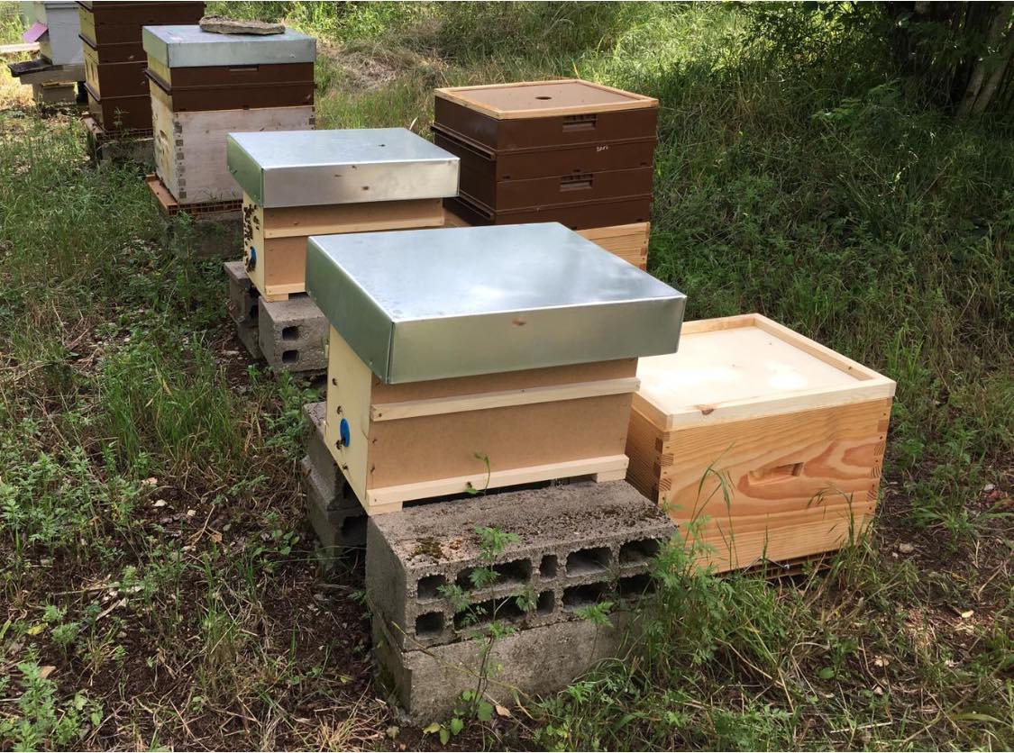 Abee - Apiculture | Mailly-la-Ville