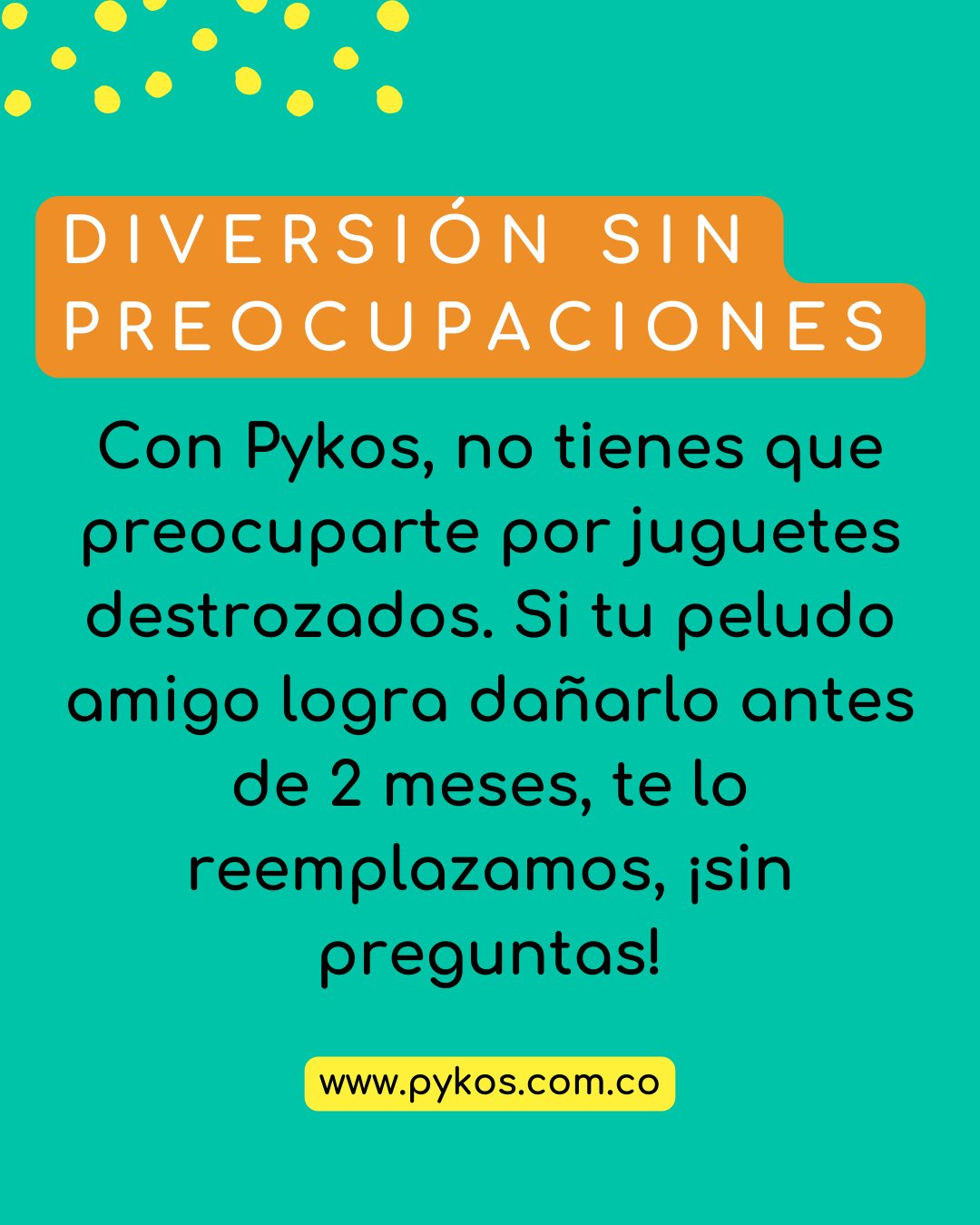 Pykos Mascotas | Manizales