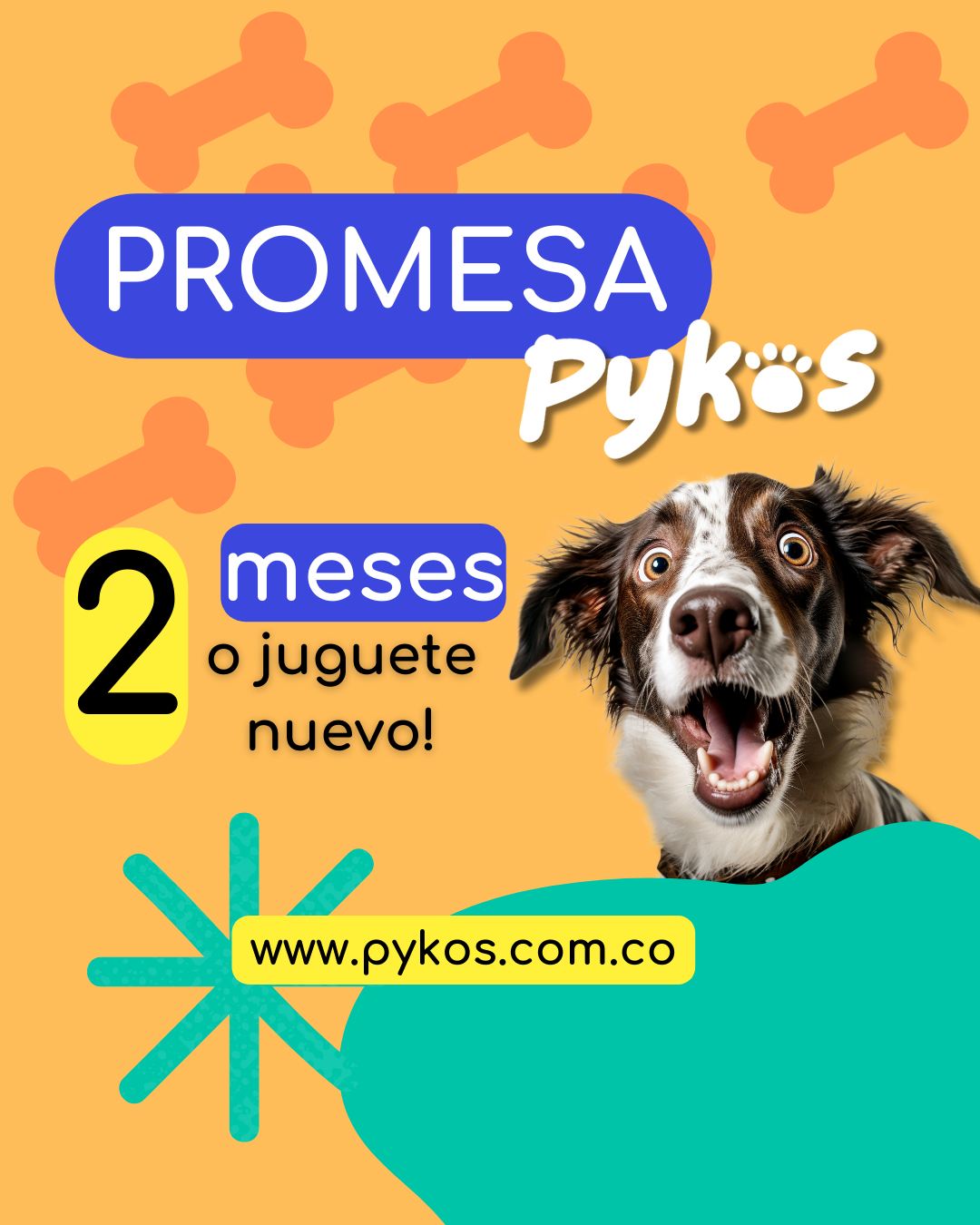 Pykos Mascotas | Manizales