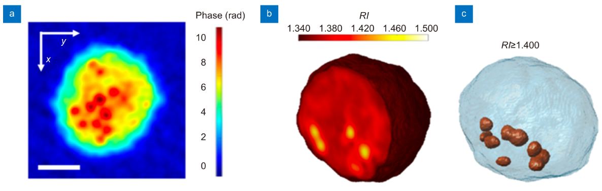 Hot Paper - "In-flow holographic tomography boosts lipid... | Facebook