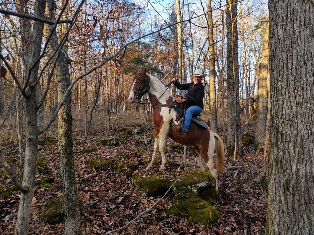 American Made Livestock Market - His name is Led. He will be 4 in May ...