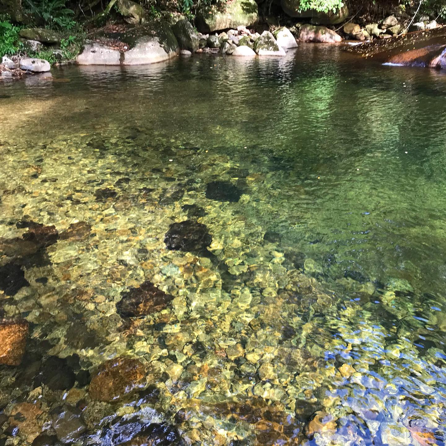 Nosso Litoral - Recanto Feliz, o local fica em cima da... | Facebook
