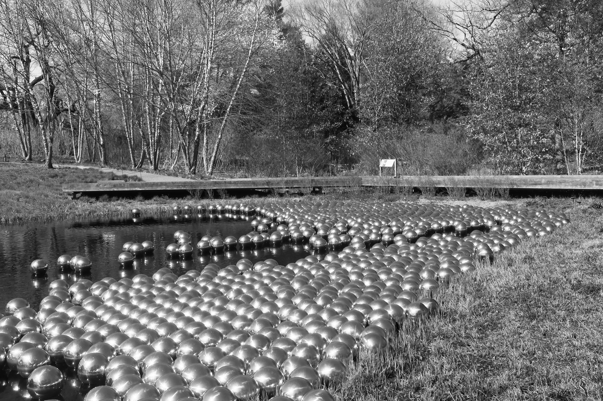 Have a moment of self-reflection with Yayoi Kusama's Narcissus
