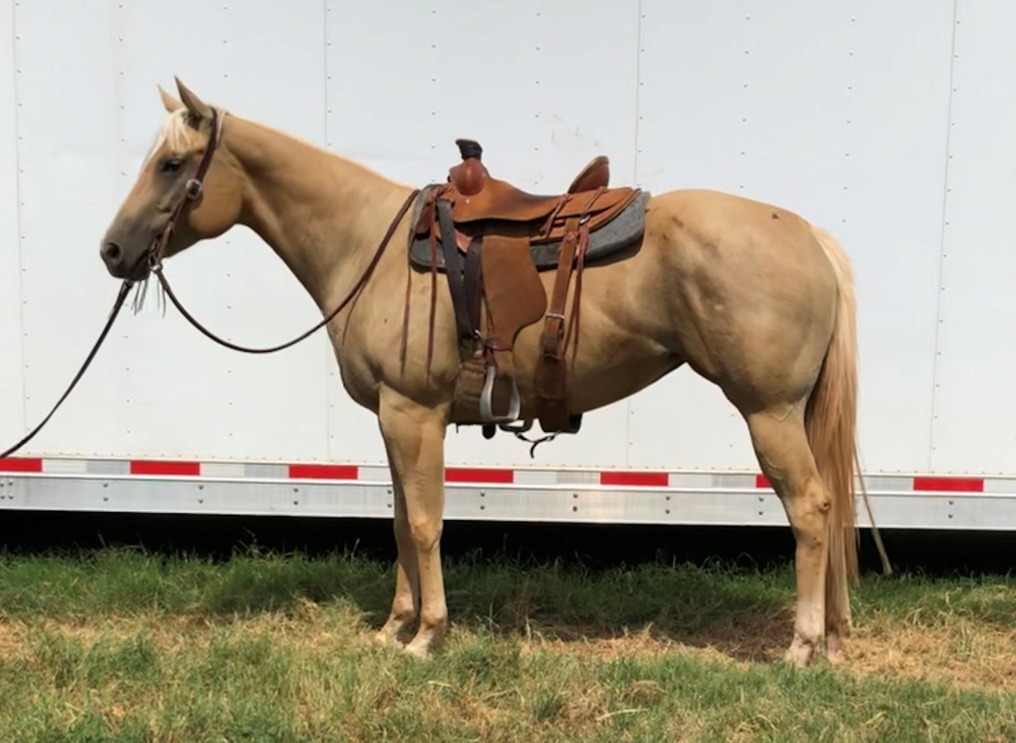 Lohman Ranch | Blanchard OK