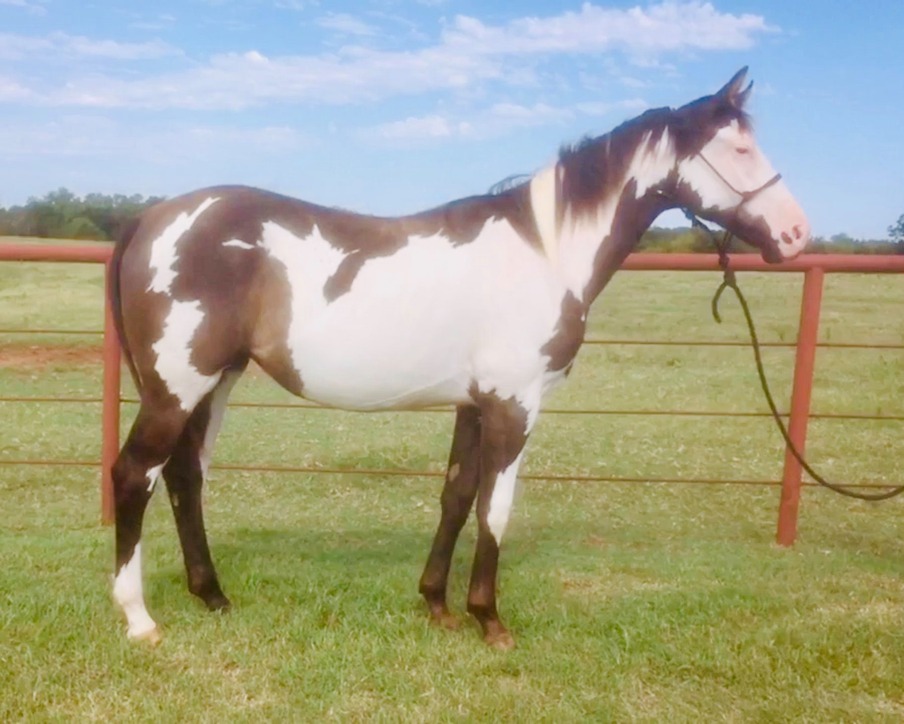 Lohman Ranch | Blanchard OK