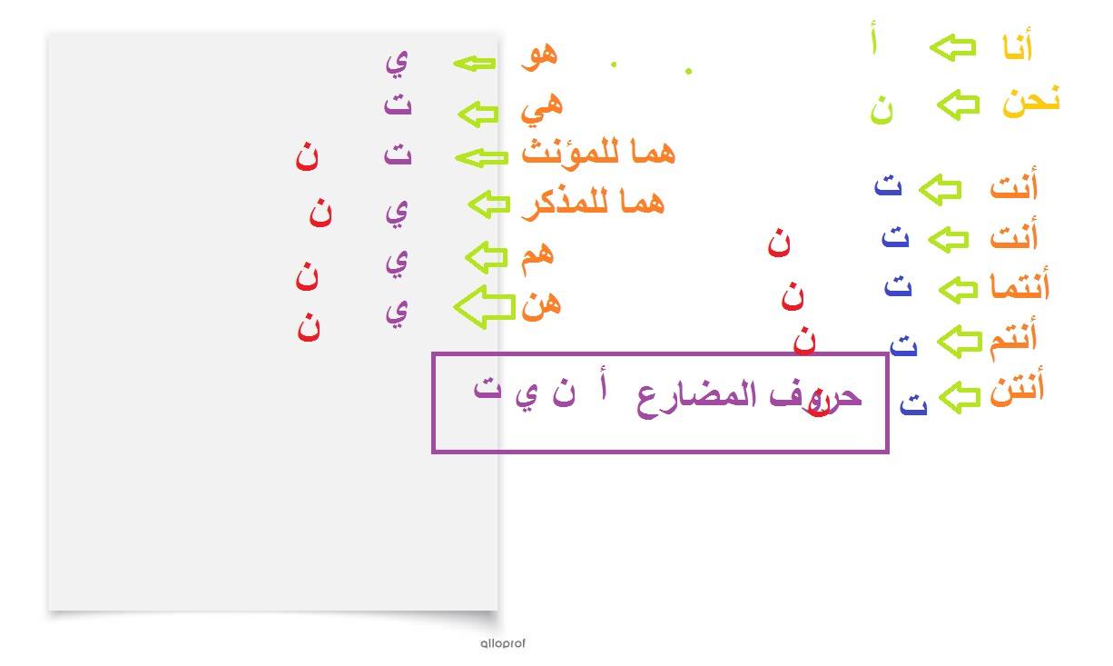قواعد لغة سنة ثالثة الفعل في المضارع طريقة بسيطة | Facebook