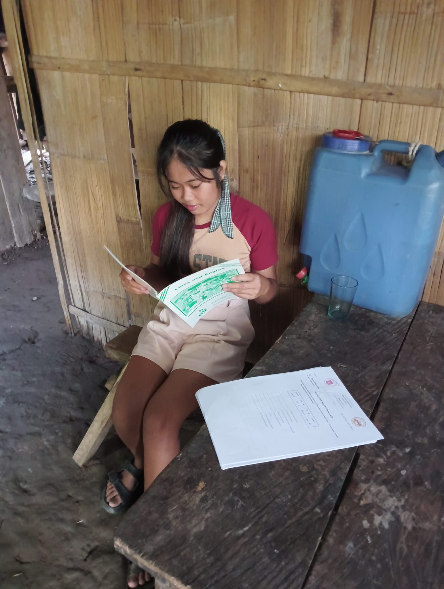 DepEd ALS Oas North District | Oas