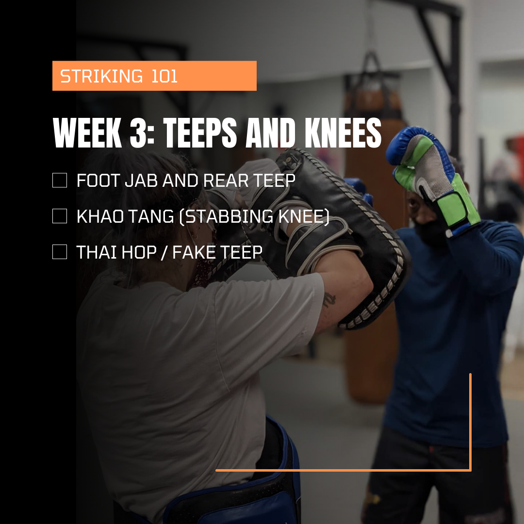 North Star Mixed Martial Arts - Striking 101 -- Week 3: Teeps and Knees ...
