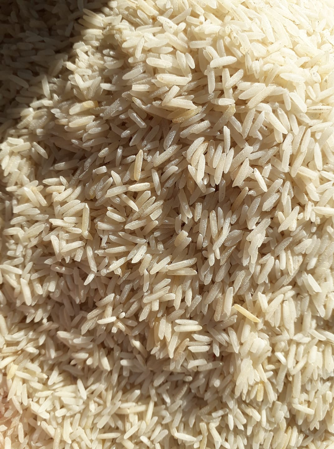 BOSS RICE | Rawalpindi