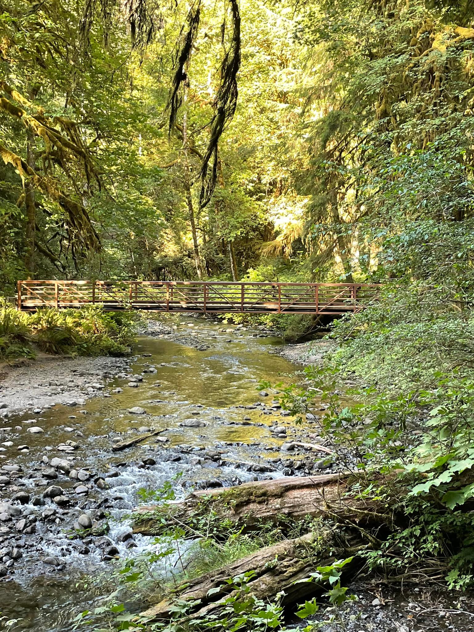 Olympic National Park road trip adventures