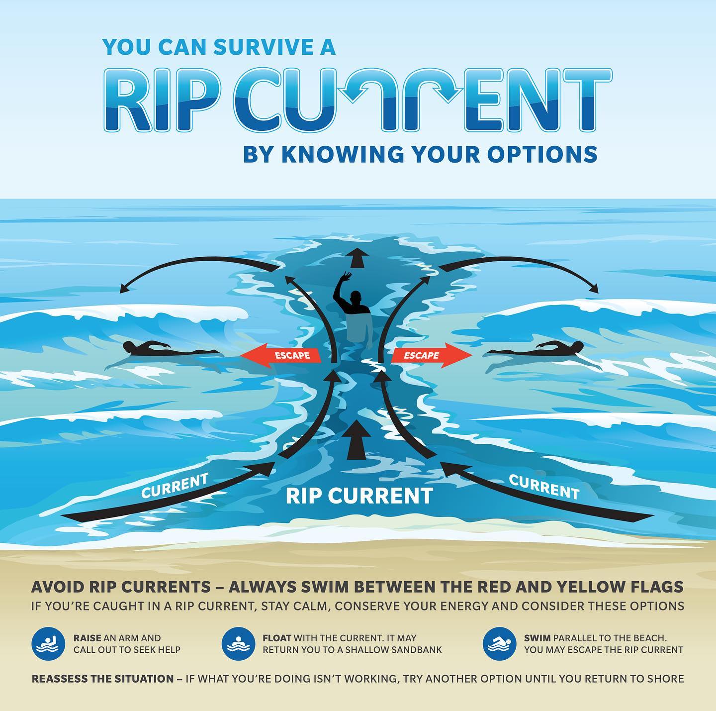 Rip currents can easily and quickly... - SwimConsultant.com | Facebook