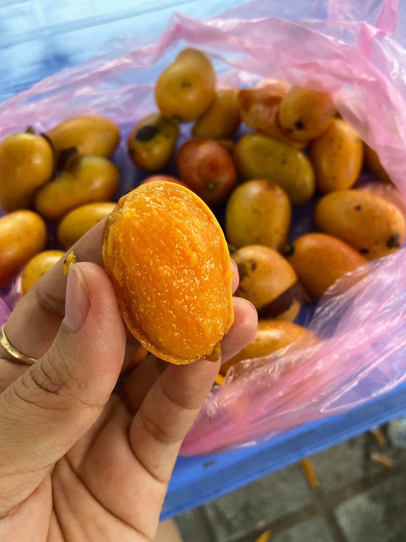 QUẢ QUÉO....( Quả muỗm... - Mị Quán - Phượng Tây Bắc | Facebook