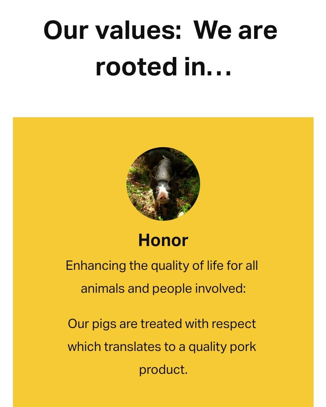 The Rooted Pig | Apex NC