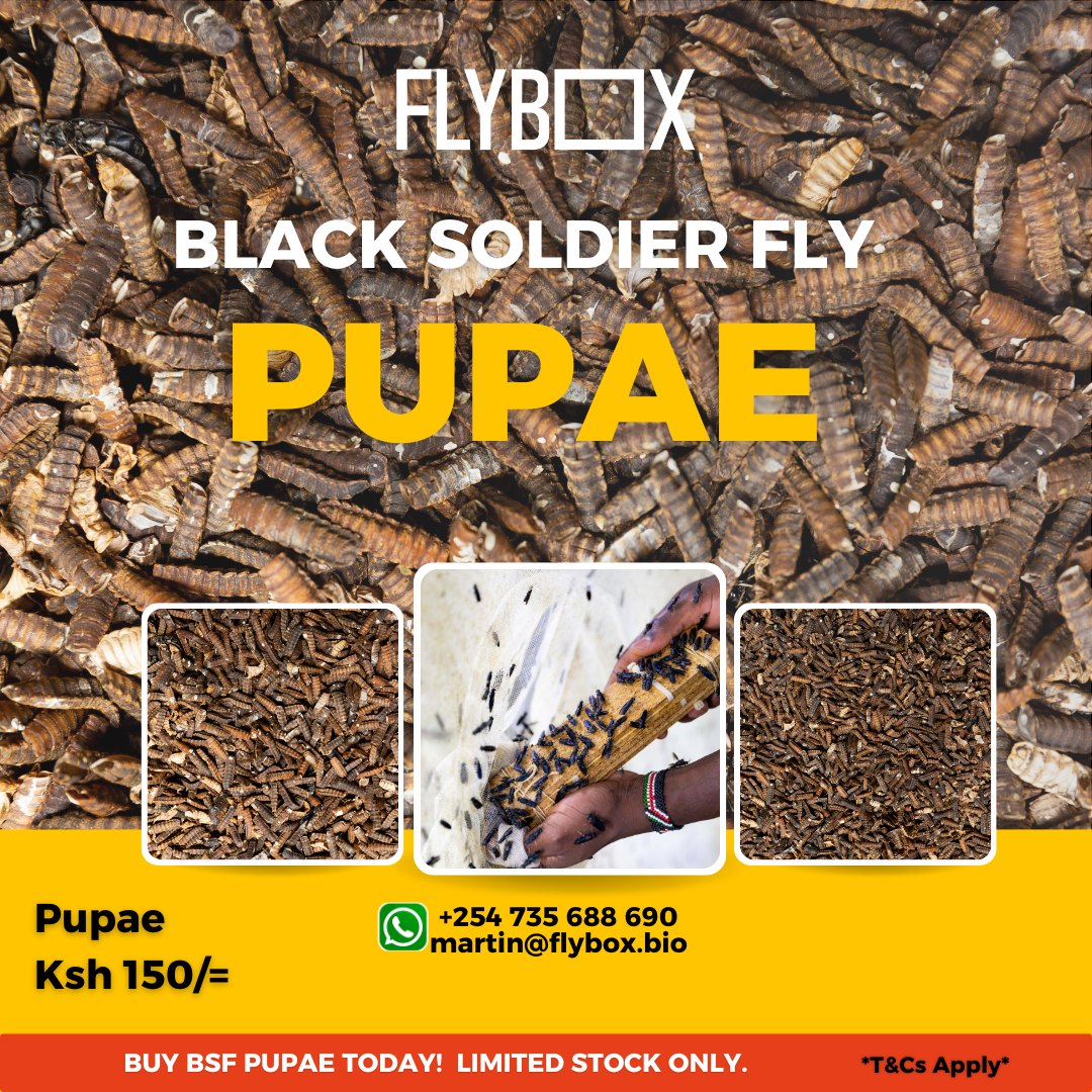 Flybox Kenya | Nairobi